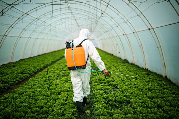 Best Affordable Pest Control Services  in Reedsburg, WI