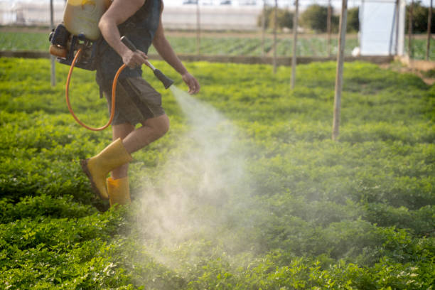 Best Commercial Pest Control Services  in Reedsburg, WI