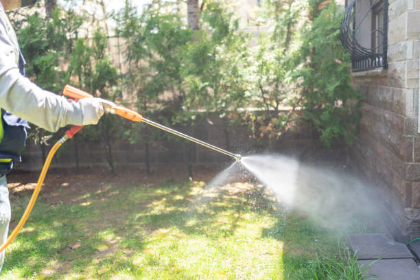 Best Local Pest Control Services  in Reedsburg, WI