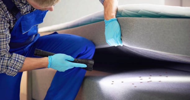 Best Emergency Pest Control  in Reedsburg, WI