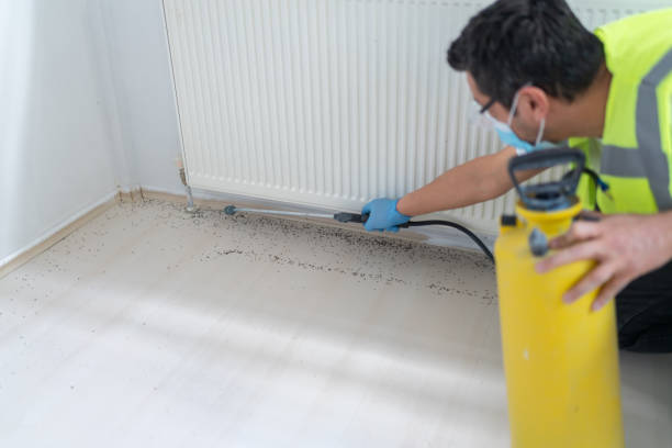 Best Pest Control Near Me  in Reedsburg, WI