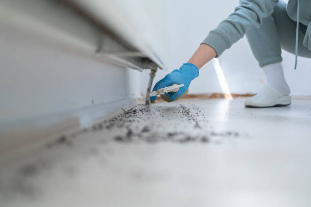 Reliable Reedsburg, WI Pest Control Solutions